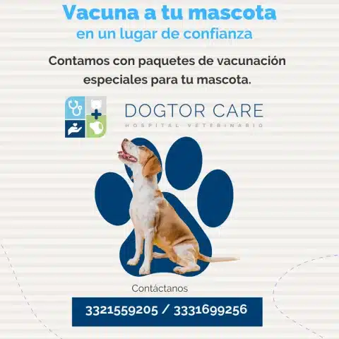 Veterinarias En Zapopan