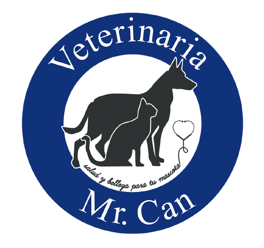 Mister Can