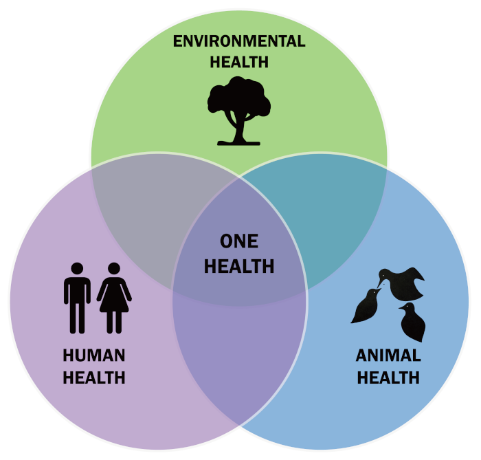 One Health, Clínica Veterinaria