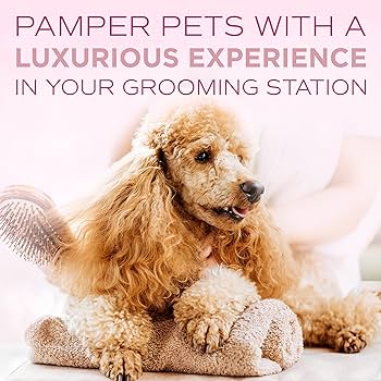 Pamper Spa Pets