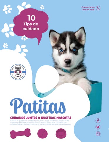 Patitas Veterinaria