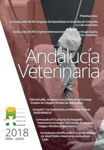 Peek´ & Pets Veterinaria Y Estética Canina