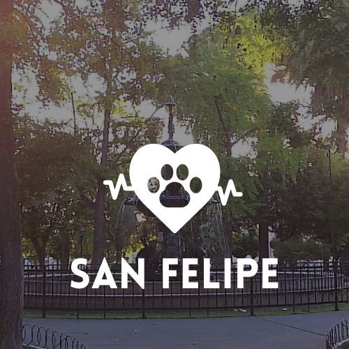 San Felipe Animal Clinic