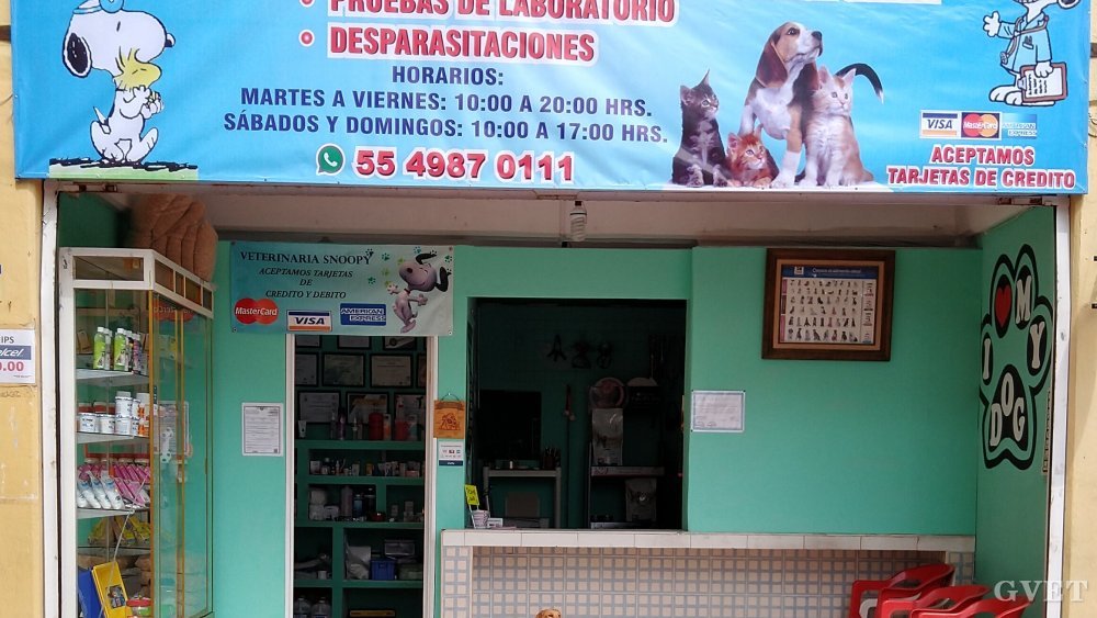 Servicios Clínicos Y Estéticos Veterinarios Snoopy