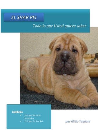 Sharpei Clínica Veterinaria