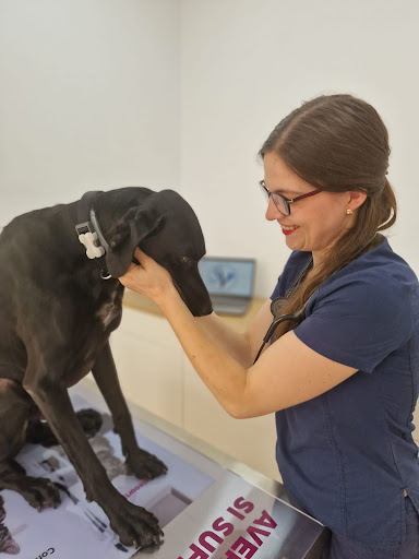 Smartvet Clínica Veterinaria