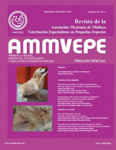 Veterinaria Ameca