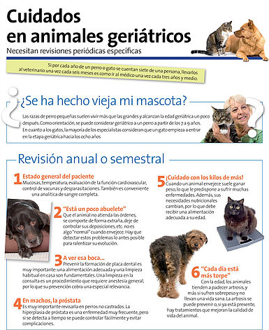 Veterinaria Animala