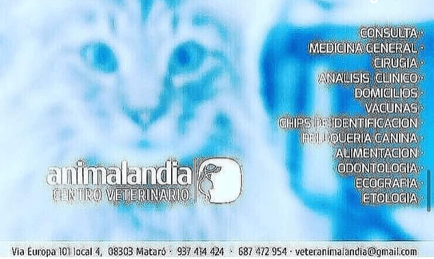 Veterinaria Animalandia