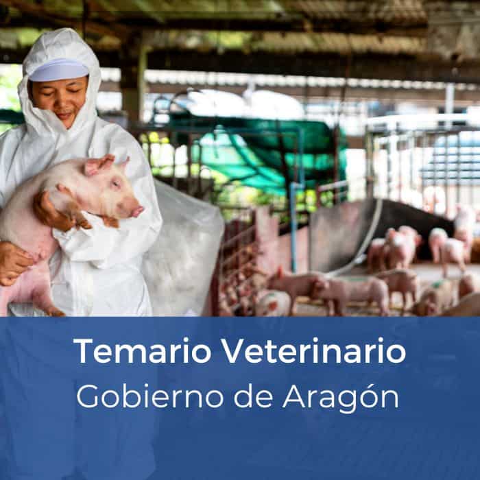 Veterinaria Aragón