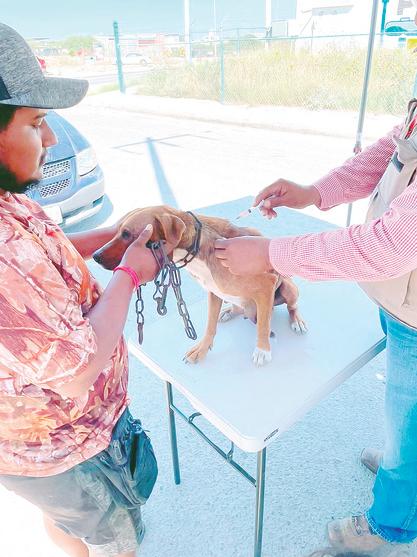 Veterinaria Chinacos