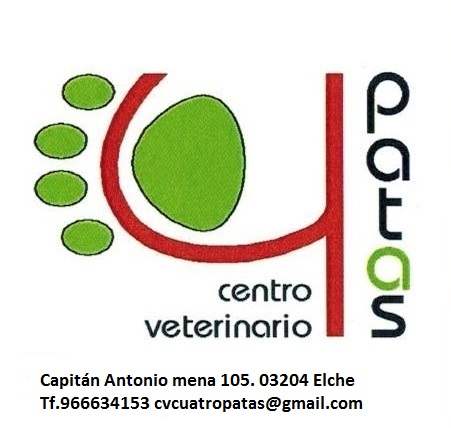 Veterinaria Cuatro Patas