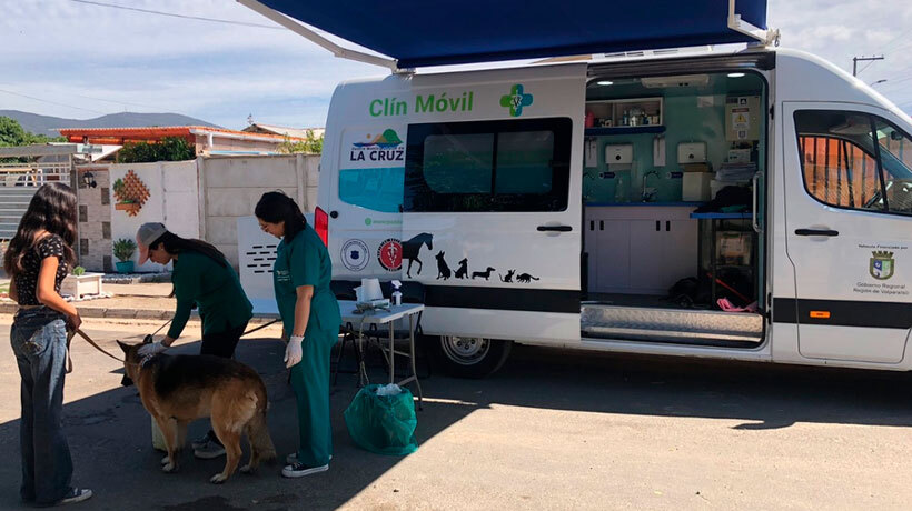 Veterinaria De La Cruz