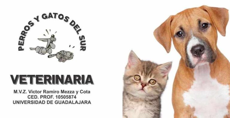 Veterinaria Del Sur