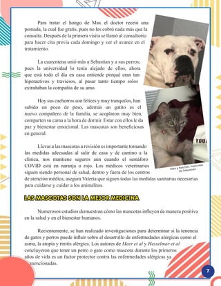 Veterinaria Doggato