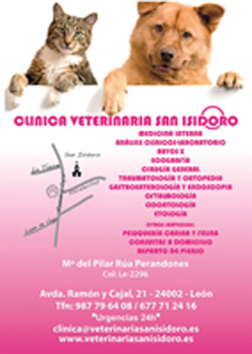 Veterinaria Dr. Guaus