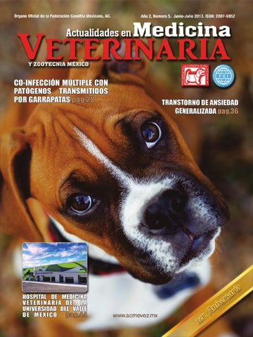 Veterinaria El Alazan