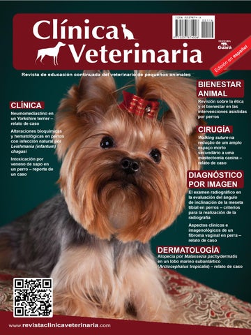 Veterinaria El Lobo