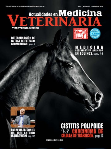 Veterinaria "garcidueñas"