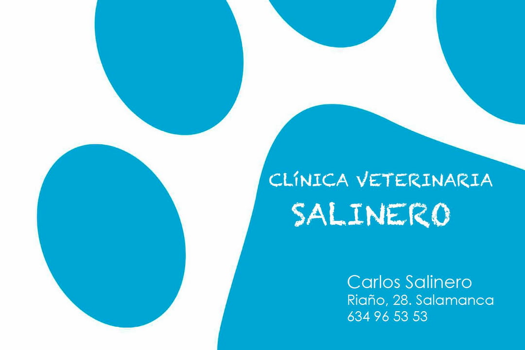 Veterinaria Huellitas De Colores