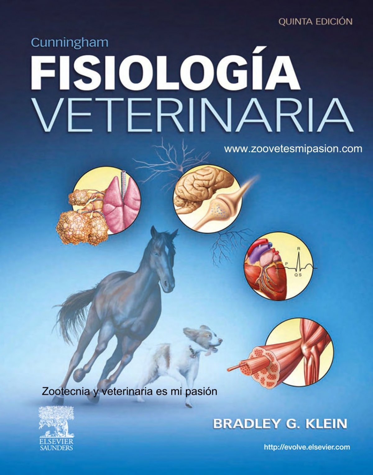 Veterinaria Jabes