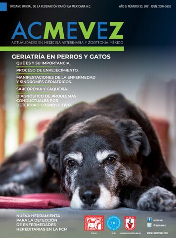 Veterinaria Juárez Nuevo