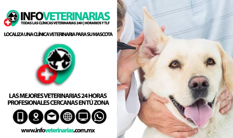 Veterinaria Juárez