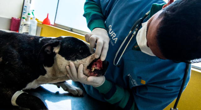 Veterinaría La Cueva