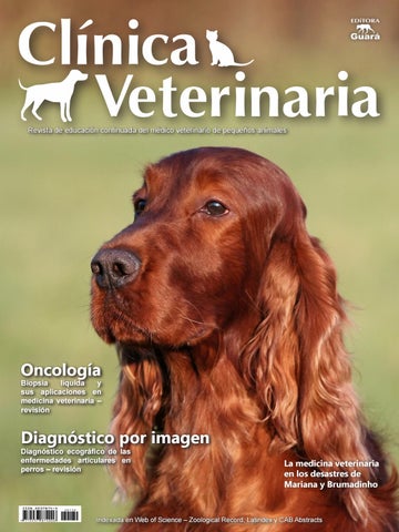 Veterinaria La Hacienda Ojo De Agua