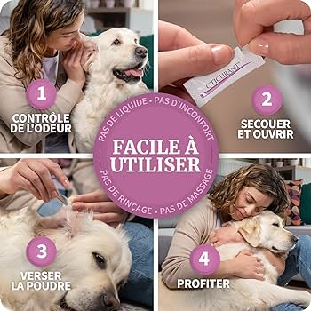 Veterinaria Le Chien