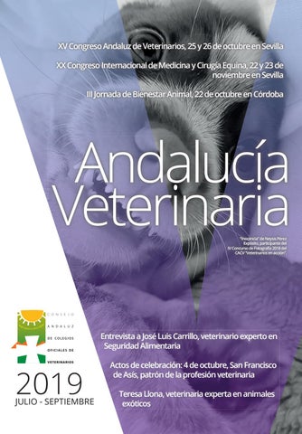 Veterinaria Leycon