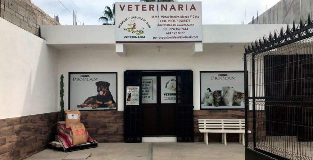 Veterinaria Los Cabos