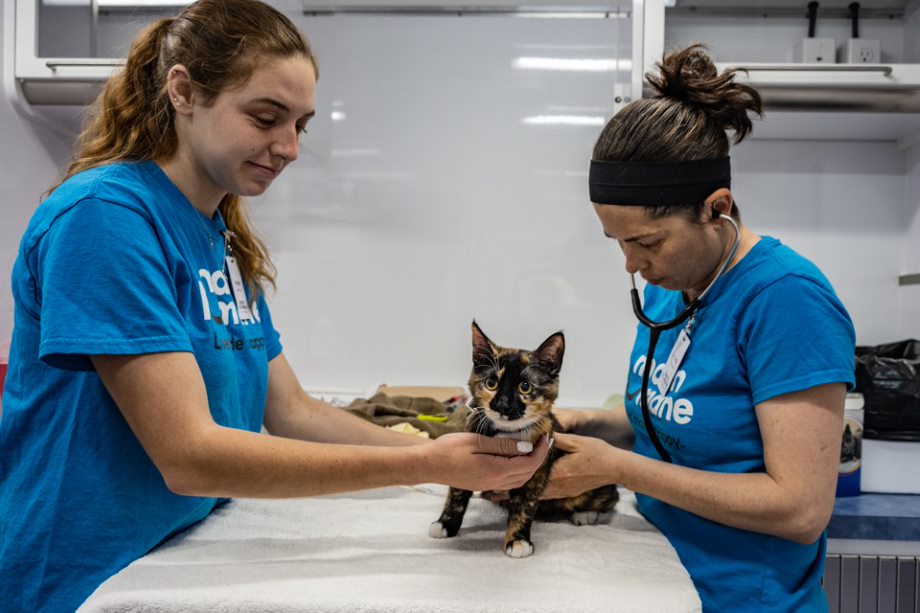 Veterinaria Marín