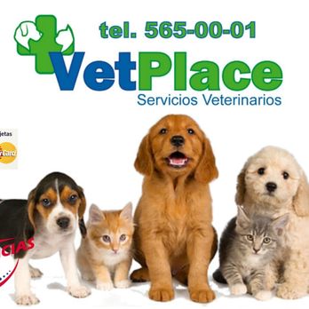 Veterinaria Mexicali - Vet Friendly