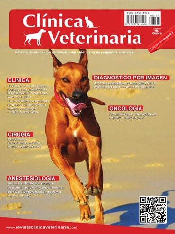 Veterinaria Mtz Luna