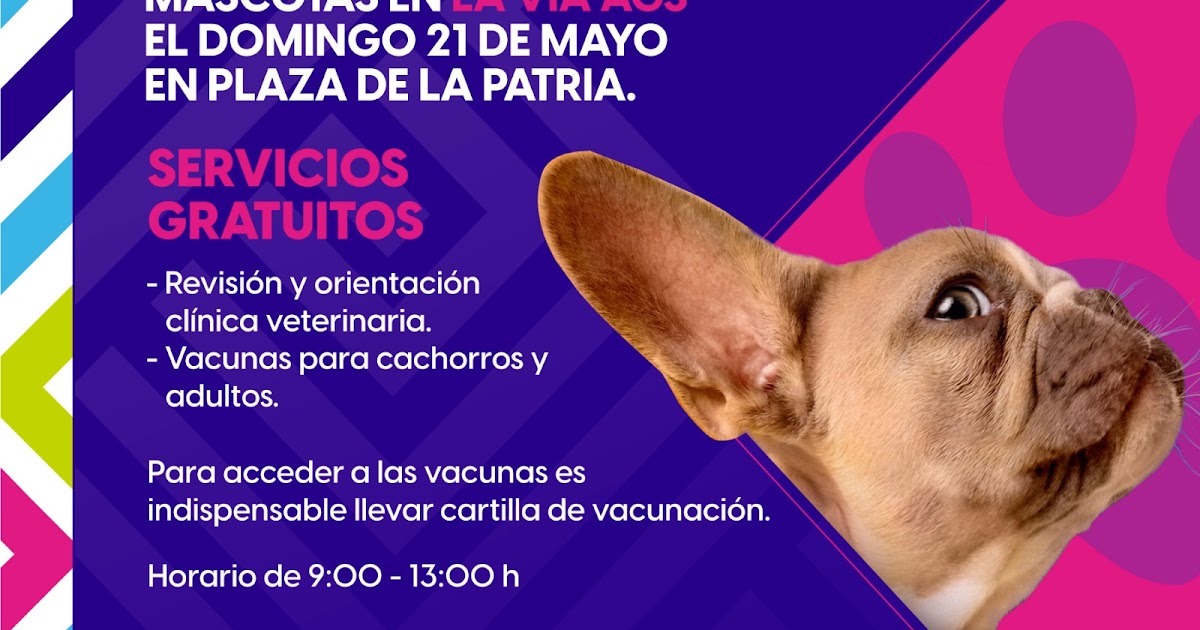 Veterinaria Mundovet