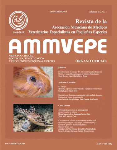 Veterinaria Mvz René Estrada