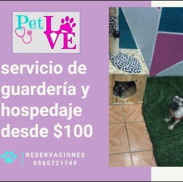 Veterinaria Pet Love