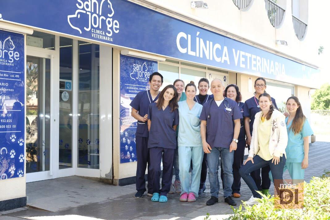 Veterinaria San Jorge