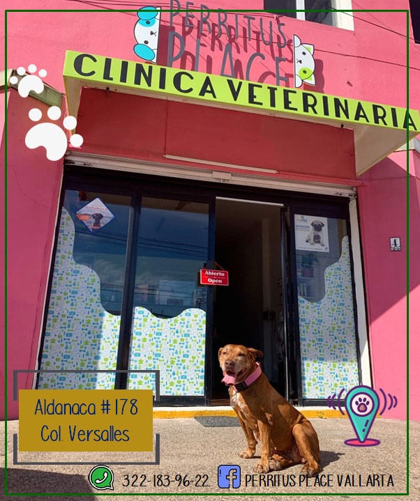 Veterinaria Vallarta