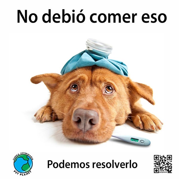 Veterinaria Vetplanet