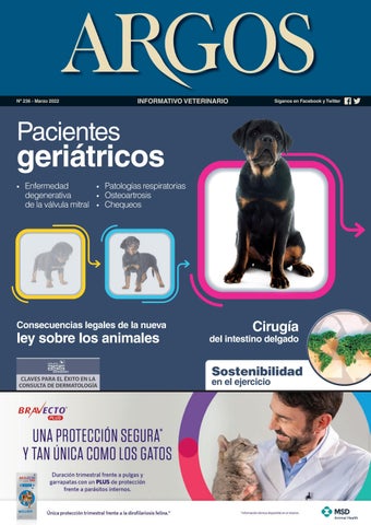 Veterinaria Y Estética Canina San Pedro