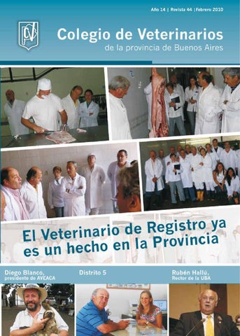 Veterinaria Y Hospital De Emergencias Vetlez