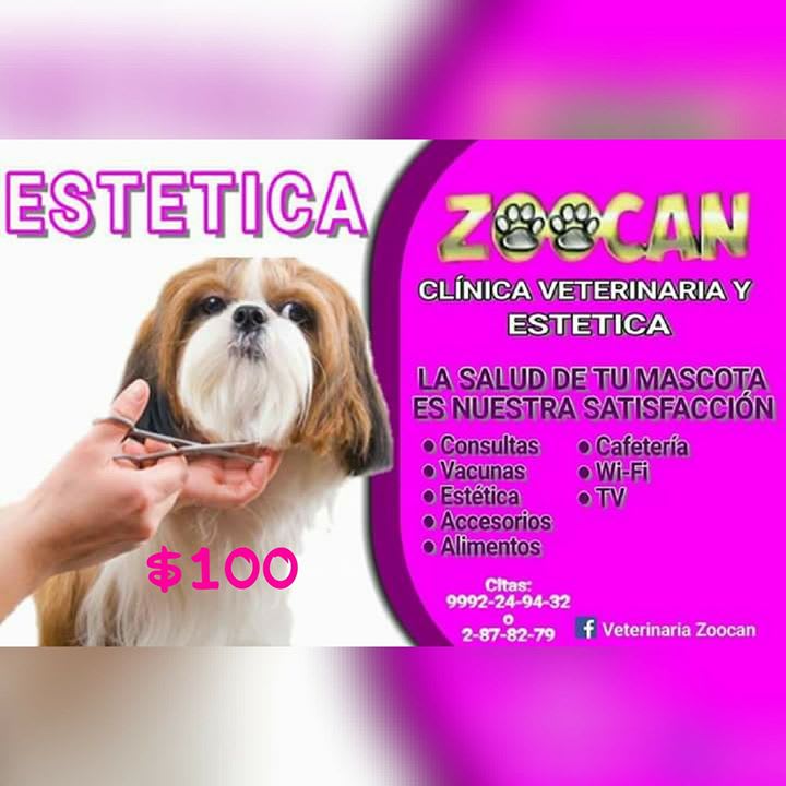 Veterinaria Zoocan