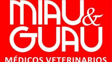 Vetx Puebla Hospital Veterinario 24 Horas Cuautlancingo