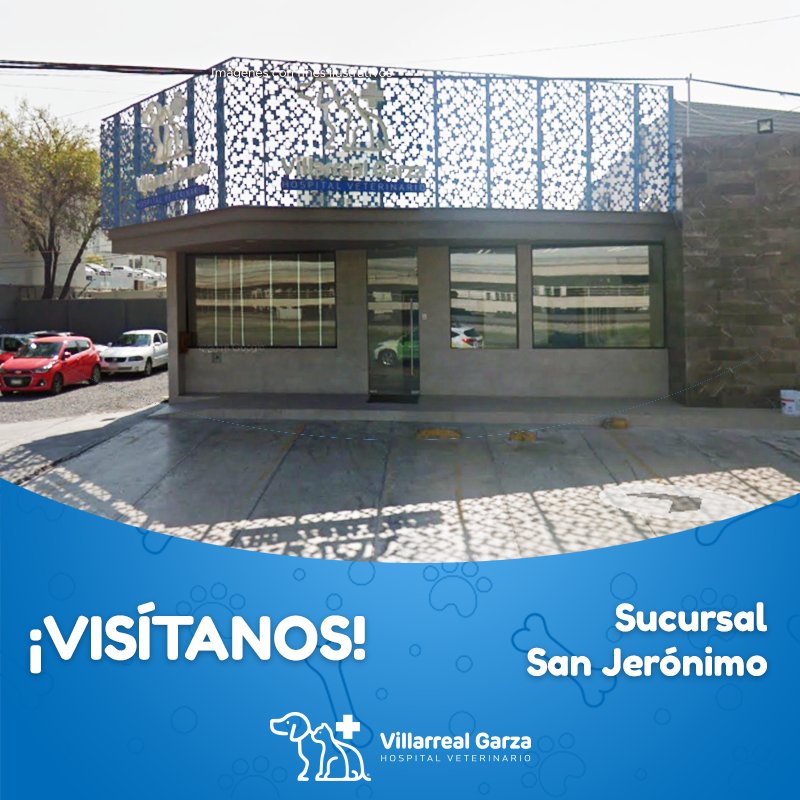 Villarreal Garza Hospital Veterinario