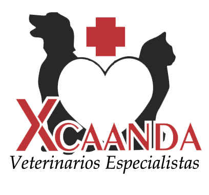 Xcaanda Veterinarios Especialistas